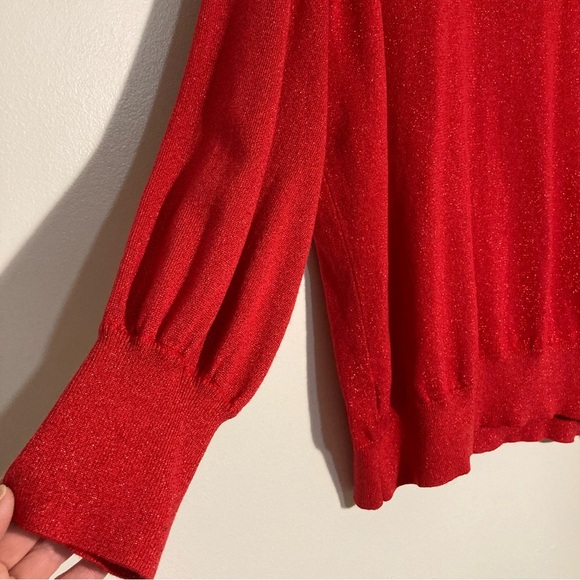 Terra & Sky Red Sparkly Sweater | Size 2X/20-22W | Rhinestone Collar | Holiday - Picture 4 of 15